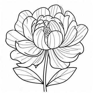 Pagina Para Colorir Da Flor Peonia 39897-33090