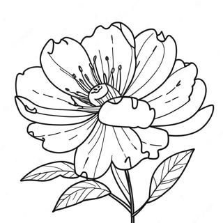 Pagina Para Colorir Da Flor Peonia 39897-33091