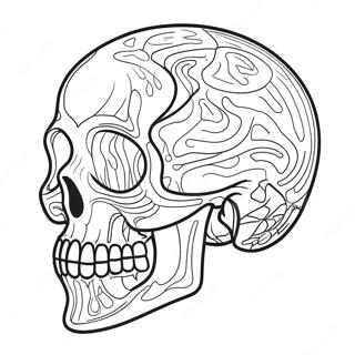 Pagina Para Colorir Do Diagrama Da Anatomia Do Cranio 41338-34319