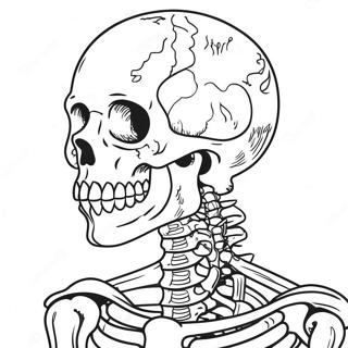 Anatomia Humana Páginas Para Colorir