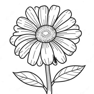 Pagina Para Colorir Flor De Calendula 41559-34491