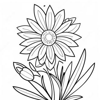 Pagina Para Colorir Da Flor Do Estado De Nebraska 43392-36116