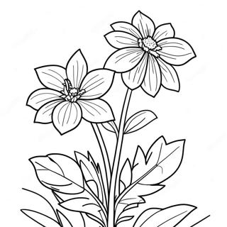 Pagina Para Colorir Da Bela Flor Do Estado De Nebraska Em Flor 43393-36110