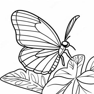 Pagina Para Colorir Da Borboleta Leafwing Colorida 43623-36300