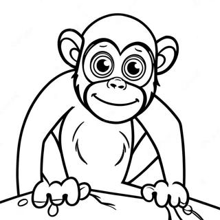 Pagina Para Colorir Macaco Aranha 43792-36427