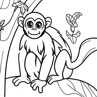 Pagina Para Colorir Macaco Aranha 43792-36428