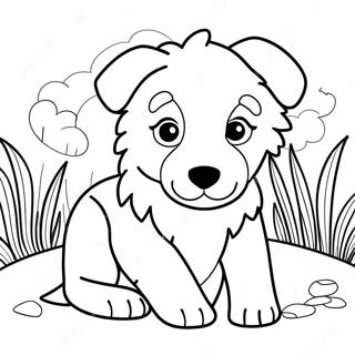 Border Collie Páginas Para Colorir