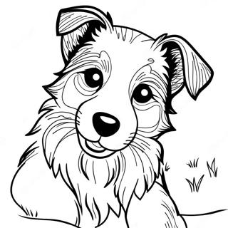 Pagina Para Colorir Filhote De Border Collie 43802-36435