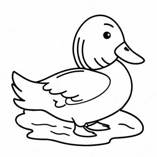 Pato Mallard Páginas Para Colorir