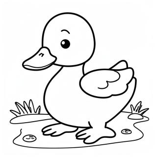 Pato Mallard Páginas Para Colorir