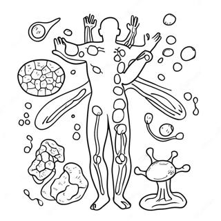 Pagina Para Colorir Do Diagrama Do Sistema Imunologico 46263-38530