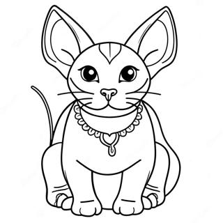 Gato Sphynx Páginas Para Colorir