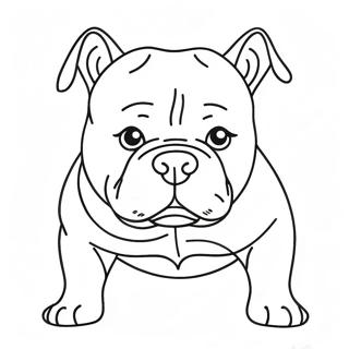 Pagina Para Colorir De American Bully 47604-39586