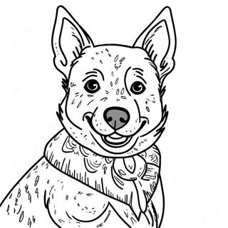 Blue Heeler Páginas Para Colorir