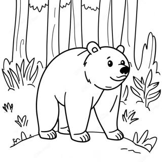 Urso Preto Páginas Para Colorir