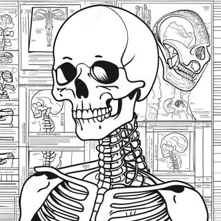 Pagina Para Colorir Da Anatomia Esqueletica Detalhada 50765-42293