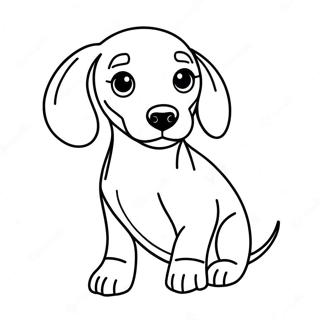 Pagina Para Colorir Do Dachshund 5182-4154