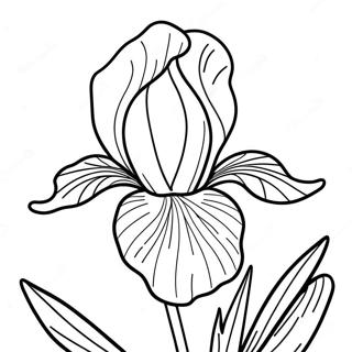 Pagina Para Colorir Da Flor De Iris 52606-43754