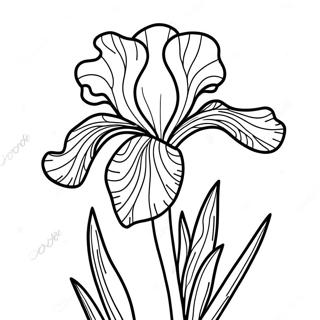 Pagina Para Colorir Da Flor De Iris 52606-43755