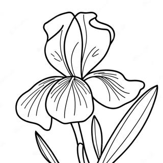 Pagina Para Colorir Da Flor De Iris 52606-43756