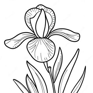 Pagina Para Colorir Da Linda Flor De Iris 52607-43758