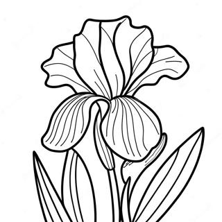 Pagina Para Colorir Da Linda Flor De Iris 52607-43760