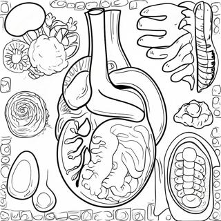 Sistema Digestivo Páginas Para Colorir