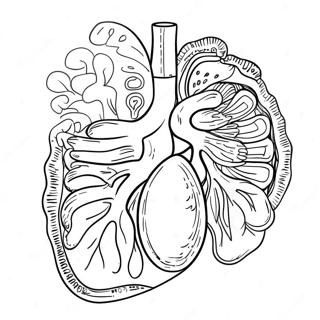 Pagina Para Colorir Dos Orgaos Digestivos Coloridos 53639-44550