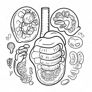 Pagina Para Colorir Dos Orgaos Digestivos Coloridos 53639-44551