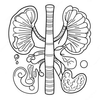 Pagina Para Colorir Dos Orgaos Digestivos Coloridos 53639-44713