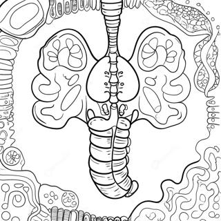 Pagina Para Colorir Dos Orgaos Digestivos Coloridos 53639-44715