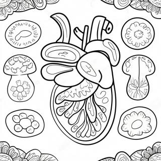 Pagina Para Colorir Dos Orgaos Digestivos Coloridos 53639 44716