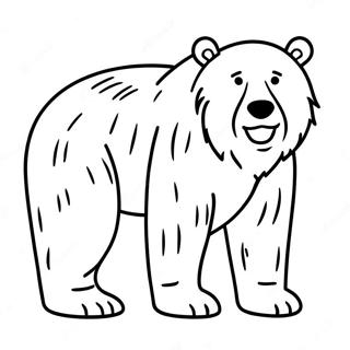 Urso Marrom Urso Marrom Páginas Para Colorir