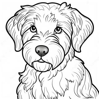 Pagina Para Colorir Aussiedoodle 55261-45972