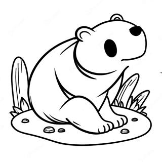 O Urso Ronca Pagina Para Colorir 55431-46108