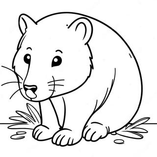 Pagina Para Colorir De Wombat 56381-46871