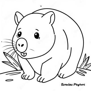 Pagina Para Colorir De Wombat 56381-46872