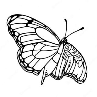 Pagina Para Colorir Da Borboleta Monarca 58615-48694