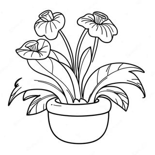 Pagina Para Colorir Da Planta Audrey Ii 60957-50548