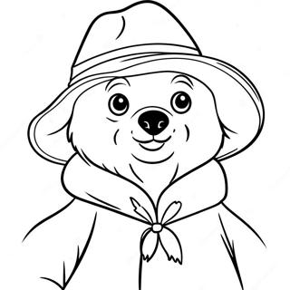 Pagina Para Colorir Urso Paddington 61556-51027