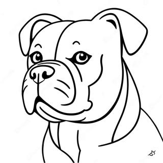 Pagina Para Colorir Bulldog Americano 62066-51436