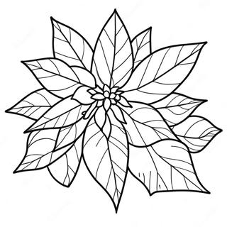 Pagina Para Colorir Poinsettia De Natal 64920-53662