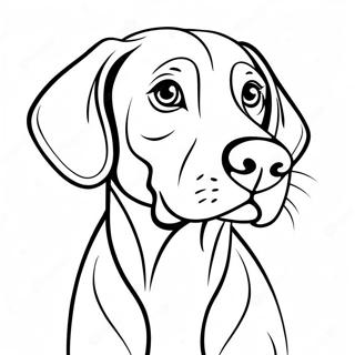 Weimaraner Páginas Para Colorir