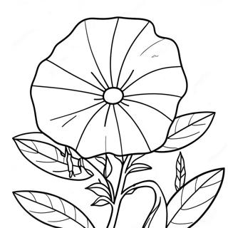 Pagina Para Colorir Da Flor Gloria Da Manha 67892-56003