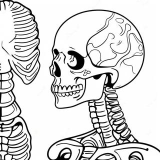 Pagina Para Colorir Da Anatomia Interativa Do Esqueleto 67953-56046