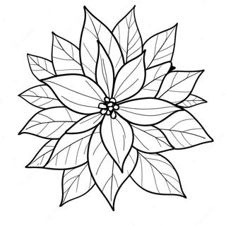 Pagina Para Colorir De Flor De Poinsettia 68322-56343