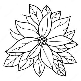 Pagina Para Colorir De Poinsettia Festiva 68323-56360