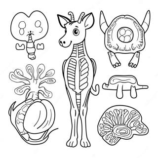 Pagina Para Colorir Da Anatomia Animal 69243-57062