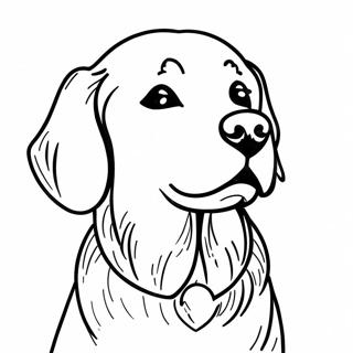 Pagina Para Colorir De Golden Retriever 701-558