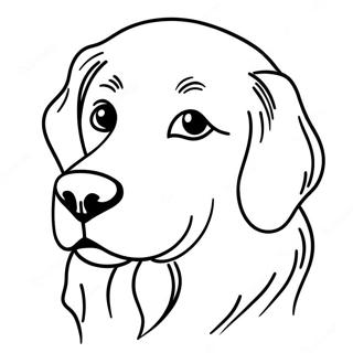 Pagina Para Colorir De Golden Retriever 701-560